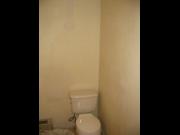 project 'Interior painting: The Seasons' before picture #3